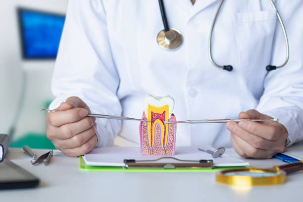 Best Weekend Emergency Dentist in Bude, MS